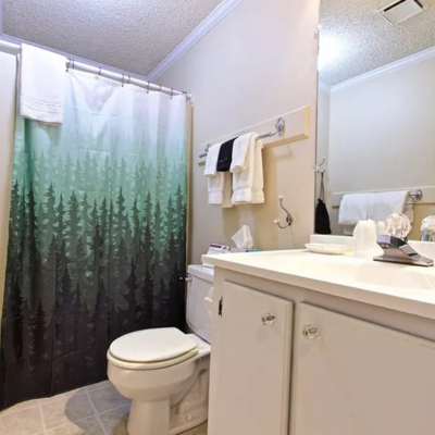 Blacks Burg Bed & Breakfast Dragon's Tooth King Bathroom