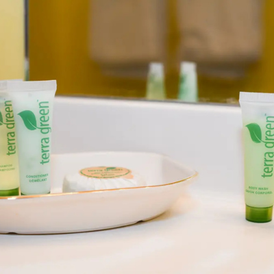 Blacks Burg Bed & Breakfast Dragon's Tooth King toiletries