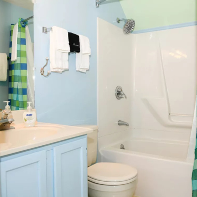 Blacks Burg Bed & Breakfast New River Queen Bathroom