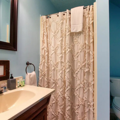 Blacks Burg Bed & Breakfast Pandapas Queen Bathroom