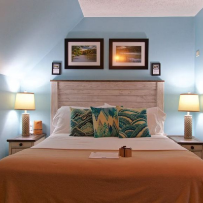Blacks Burg Bed & Breakfast Cozy Room